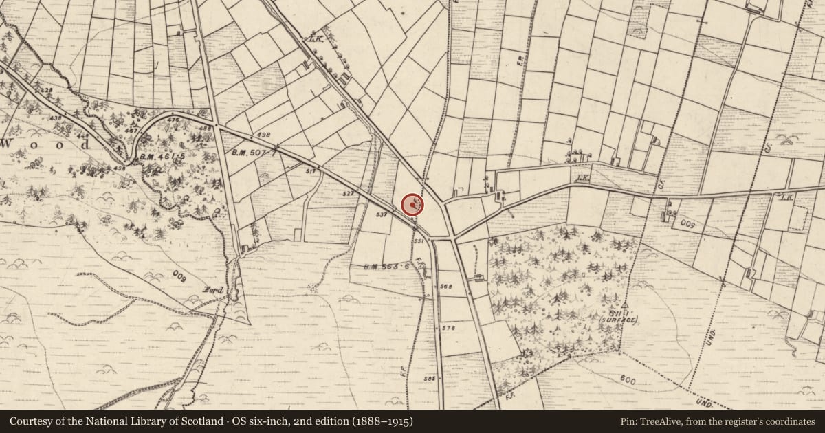 Ordnance Survey six-inch map, 2nd edition (1888–1915) covering the location of Burnt mound, Lissardboola, County Kerry, with a pin at the register's coordinates