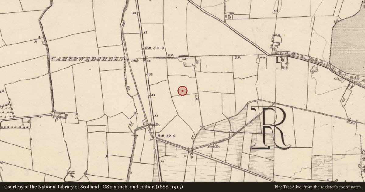 Ordnance Survey six-inch map, 2nd edition (1888–1915) covering the location of Field boundary, Skahanagh, County Kerry, with a pin at the register's coordinates
