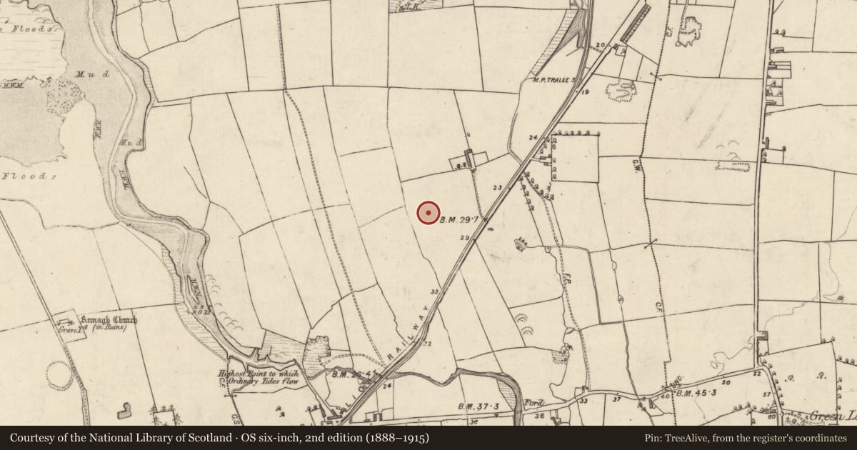 Ordnance Survey six-inch map, 2nd edition (1888–1915) covering the location of Barrow - pond barrow, Tonavane, County Kerry, with a pin at the register's coordinates