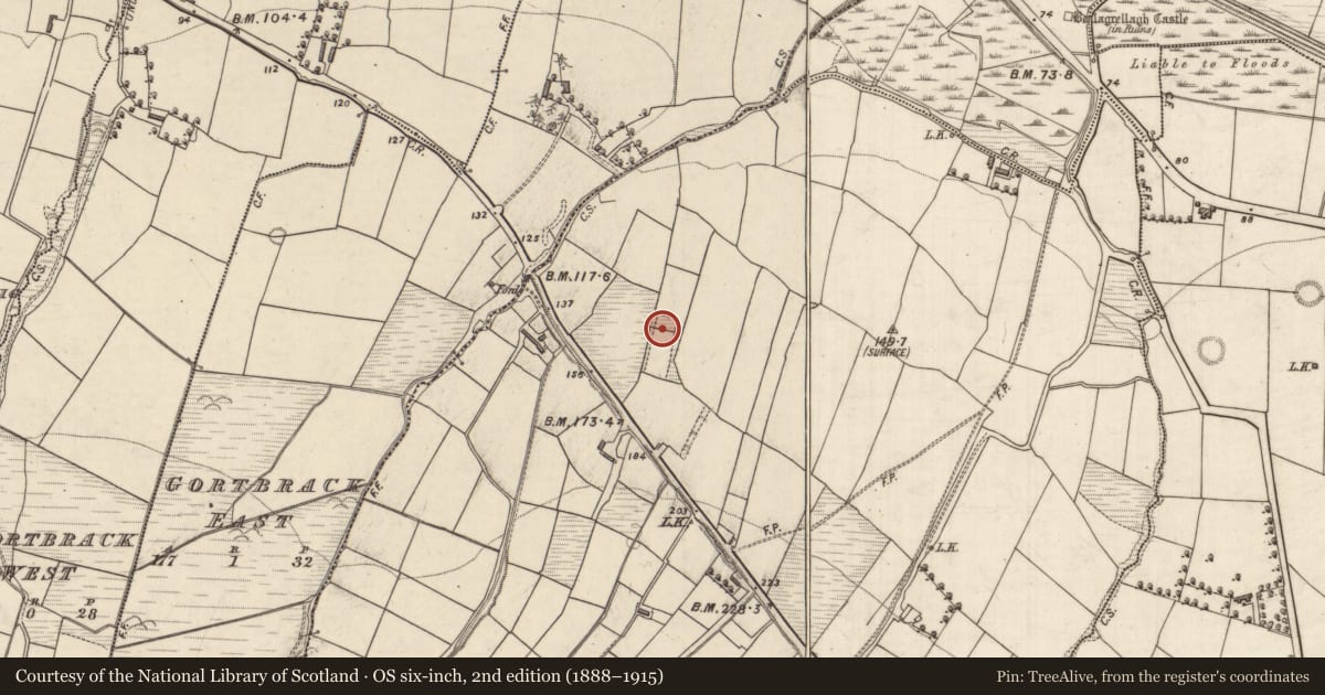 Ordnance Survey six-inch map, 2nd edition (1888–1915) covering the location of Hilltop enclosure, Ash-Hill, County Kerry, with a pin at the register's coordinates
