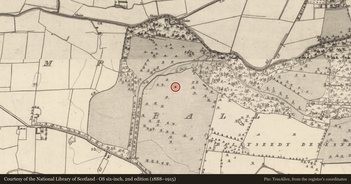 Ordnance Survey six-inch map, 2nd edition (1888–1915) covering the location of Enclosure, Ballyseedy, County Kerry, with a pin at the register's coordinates