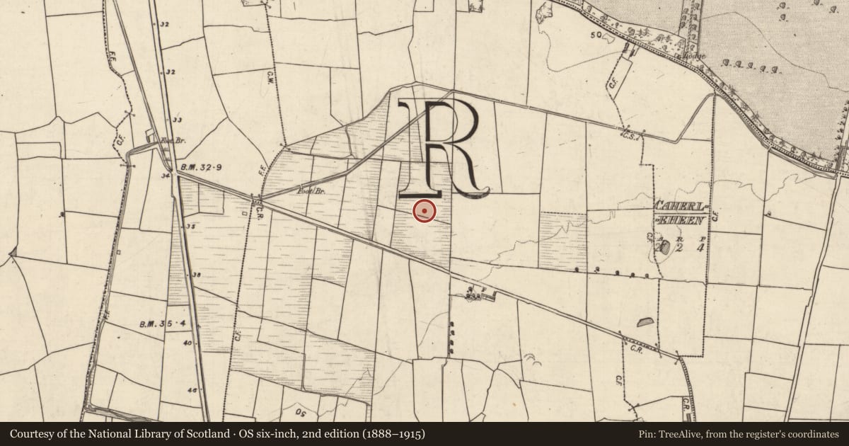 Ordnance Survey six-inch map, 2nd edition (1888–1915) covering the location of Burnt mound, Caherleheen (Trughanacmy By., Ballyseedy Par.), County Kerry, with a pin at the register's coordinates