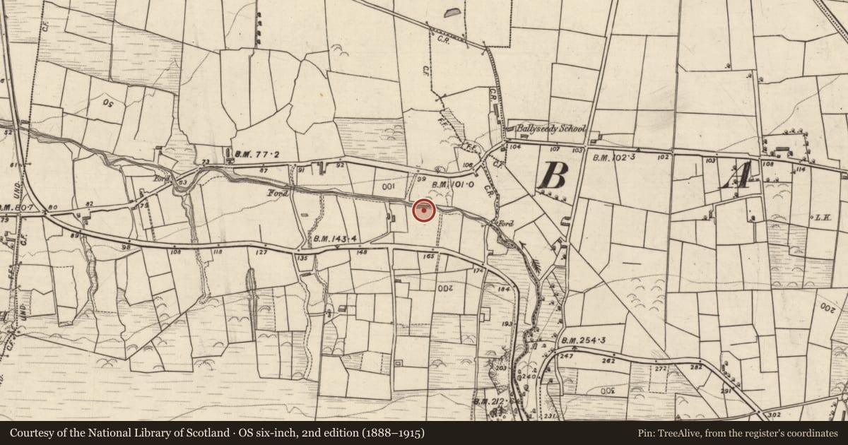 Ordnance Survey six-inch map, 2nd edition (1888–1915) covering the location of Burnt spread, Caherleheen (Trughanacmy By., Ballyseedy Par.), County Kerry, with a pin at the register's coordinates