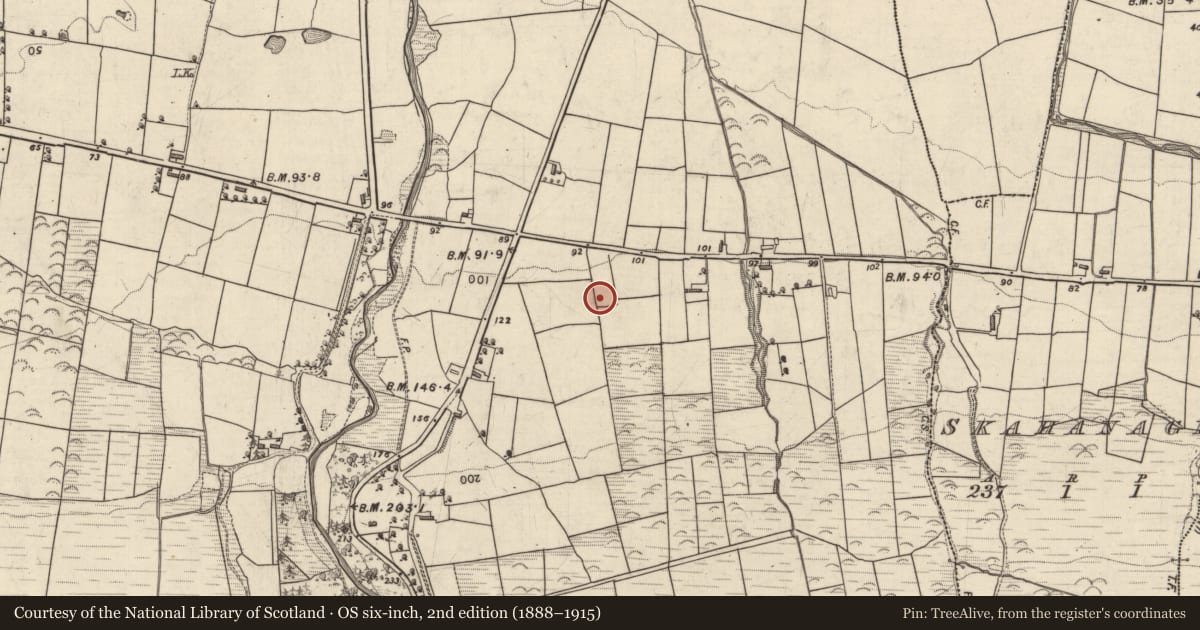 Ordnance Survey six-inch map, 2nd edition (1888–1915) covering the location of House - Neolithic, Clahane, County Kerry, with a pin at the register's coordinates
