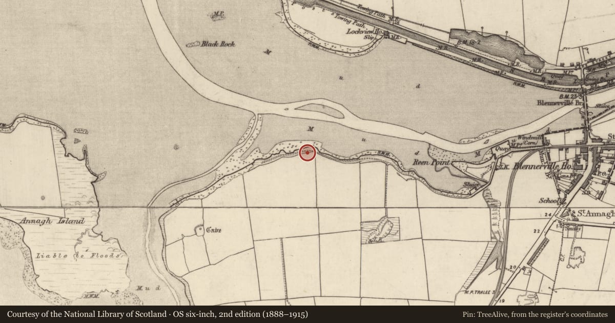 Ordnance Survey six-inch map, 2nd edition (1888–1915) covering the location of Standing stone, Tonavane, County Kerry, with a pin at the register's coordinates