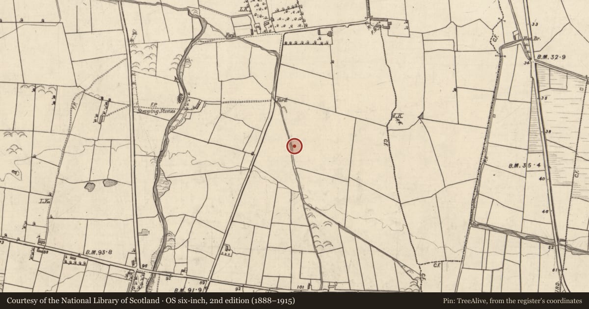Ordnance Survey six-inch map, 2nd edition (1888–1915) covering the location of Fulacht fia, Clahane, County Kerry, with a pin at the register's coordinates