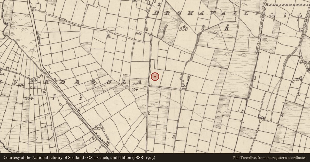 Ordnance Survey six-inch map, 2nd edition (1888–1915) covering the location of Barrow - pond barrow, Dromavally, County Kerry, with a pin at the register's coordinates