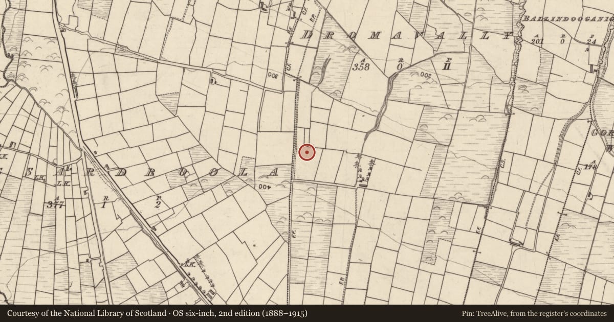 Ordnance Survey six-inch map, 2nd edition (1888–1915) covering the location of Burnt mound, Dromavally, County Kerry, with a pin at the register's coordinates