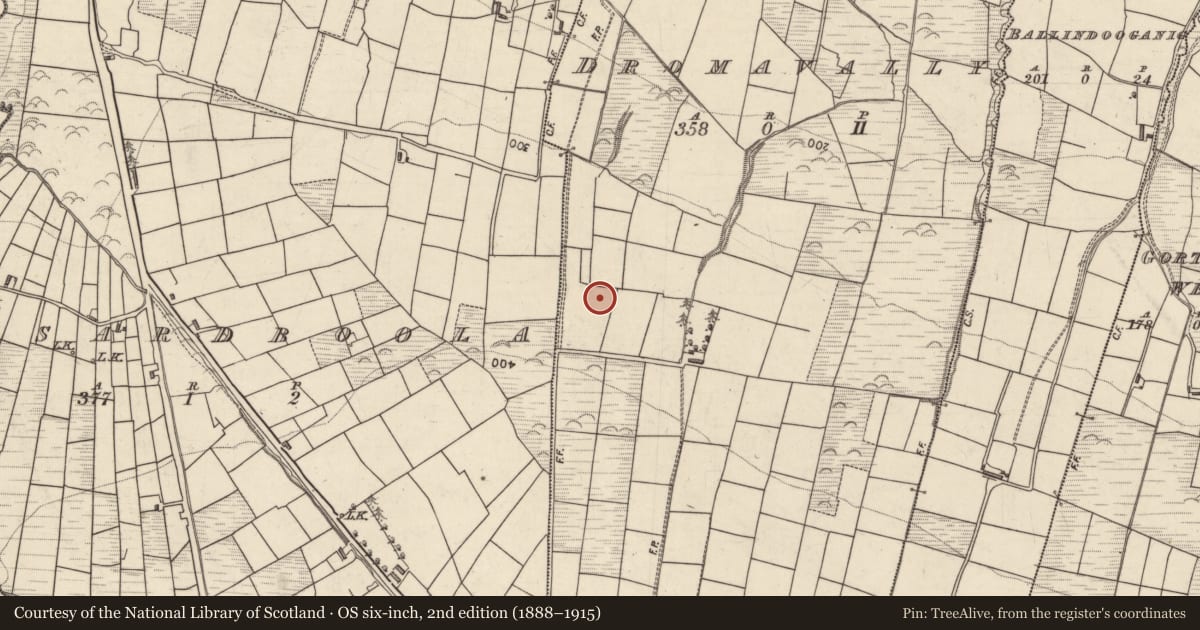 Ordnance Survey six-inch map, 2nd edition (1888–1915) covering the location of Burnt mound, Dromavally, County Kerry, with a pin at the register's coordinates