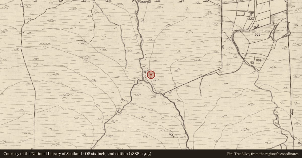 Ordnance Survey six-inch map, 2nd edition (1888–1915) covering the location of Hut site, Tonavane, County Kerry, with a pin at the register's coordinates