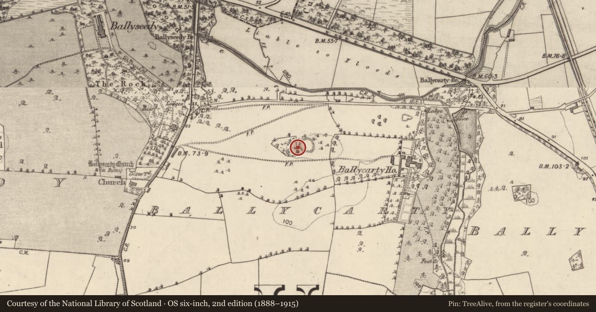 Ordnance Survey six-inch map, 2nd edition (1888–1915) covering the location of Hilltop enclosure, Ballycarty, County Kerry, with a pin at the register's coordinates