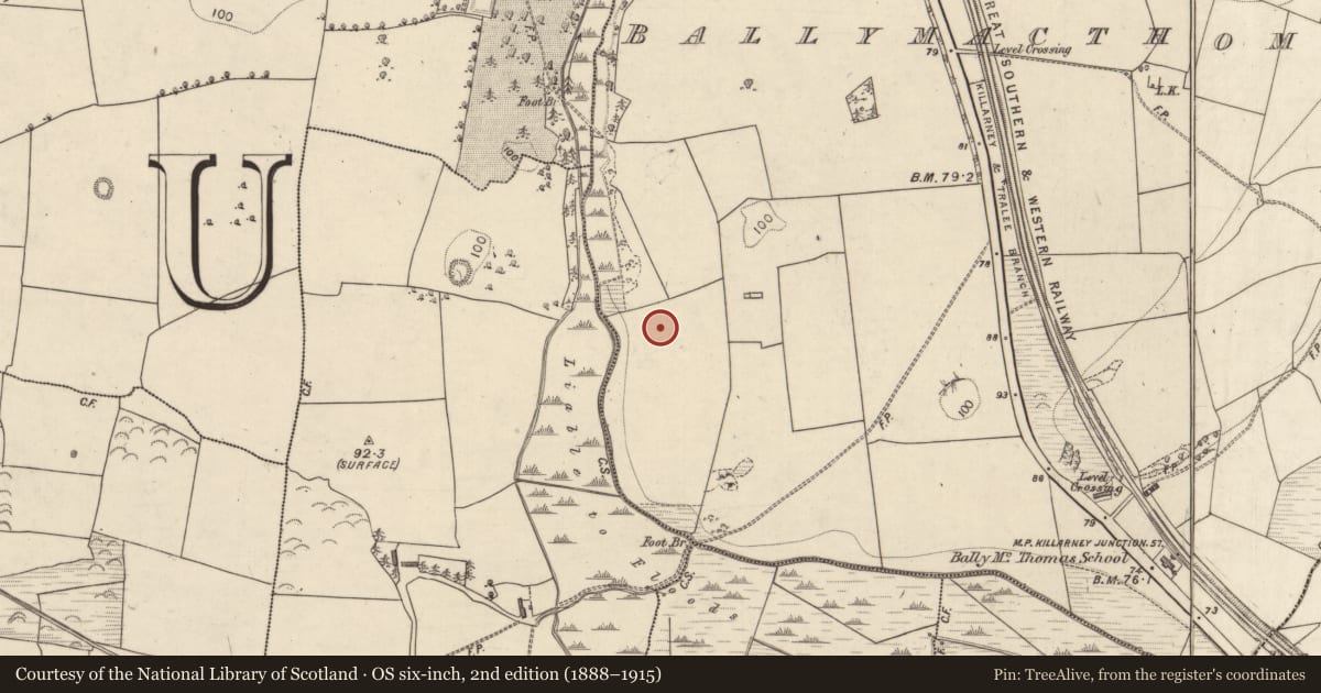 Ordnance Survey six-inch map, 2nd edition (1888–1915) covering the location of Field boundary, Ballymacthomas, County Kerry, with a pin at the register's coordinates