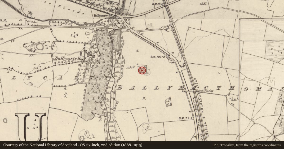 Ordnance Survey six-inch map, 2nd edition (1888–1915) covering the location of Cairn - unclassified, Ballymacthomas, County Kerry, with a pin at the register's coordinates