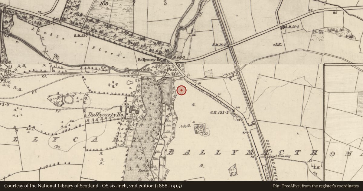 Ordnance Survey six-inch map, 2nd edition (1888–1915) covering the location of Enclosure, Ballymacthomas, County Kerry, with a pin at the register's coordinates