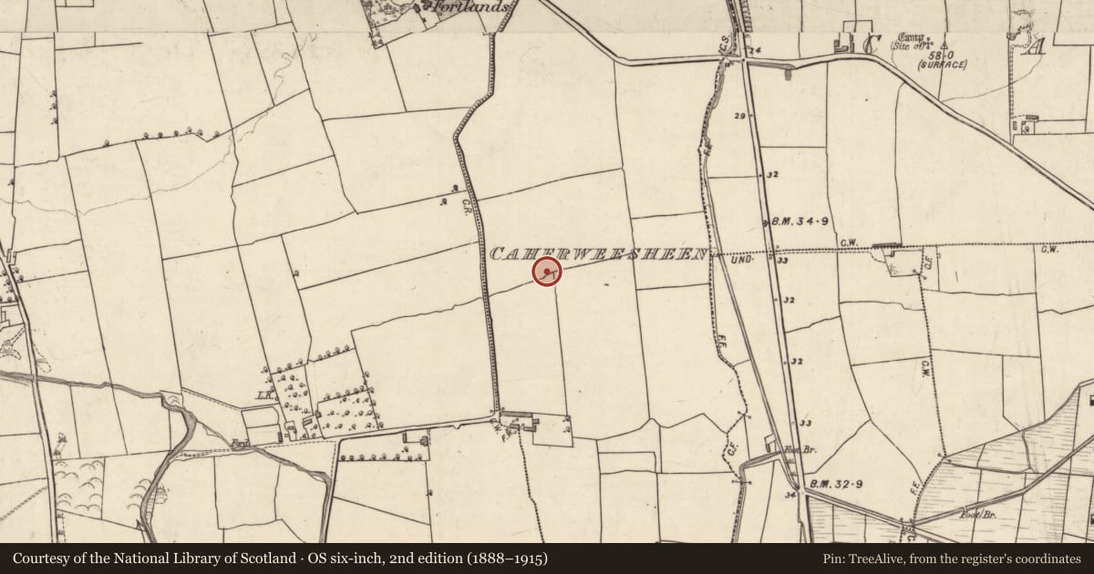 Ordnance Survey six-inch map, 2nd edition (1888–1915) covering the location of Mound, Caherweesheen, County Kerry, with a pin at the register's coordinates