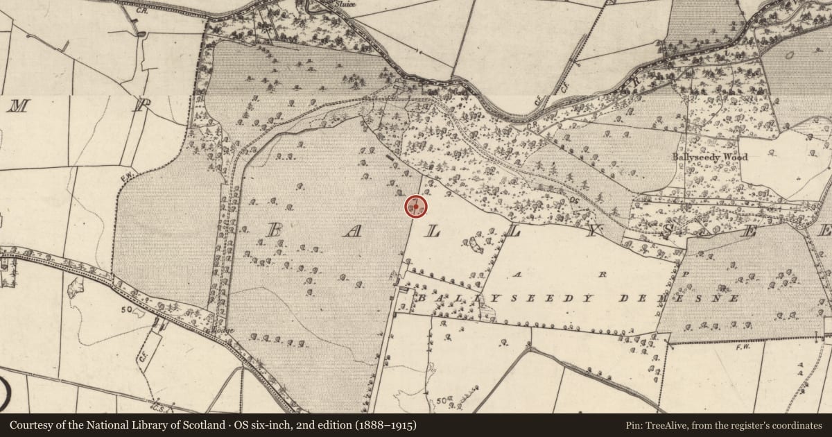 Ordnance Survey six-inch map, 2nd edition (1888–1915) covering the location of Enclosure, Ballyseedy, County Kerry, with a pin at the register's coordinates