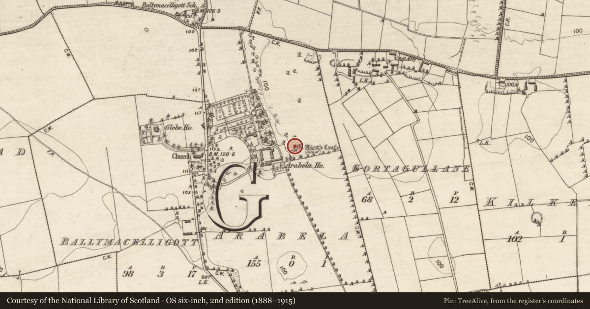 Ordnance Survey six-inch map, 2nd edition (1888–1915) covering the location of Castle - unclassified, Arabela, County Kerry, with a pin at the register's coordinates