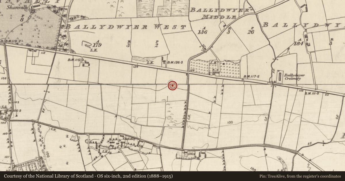 Ordnance Survey six-inch map, 2nd edition (1888–1915) covering the location of Ringfort - rath, Ballydwyer West, County Kerry, with a pin at the register's coordinates