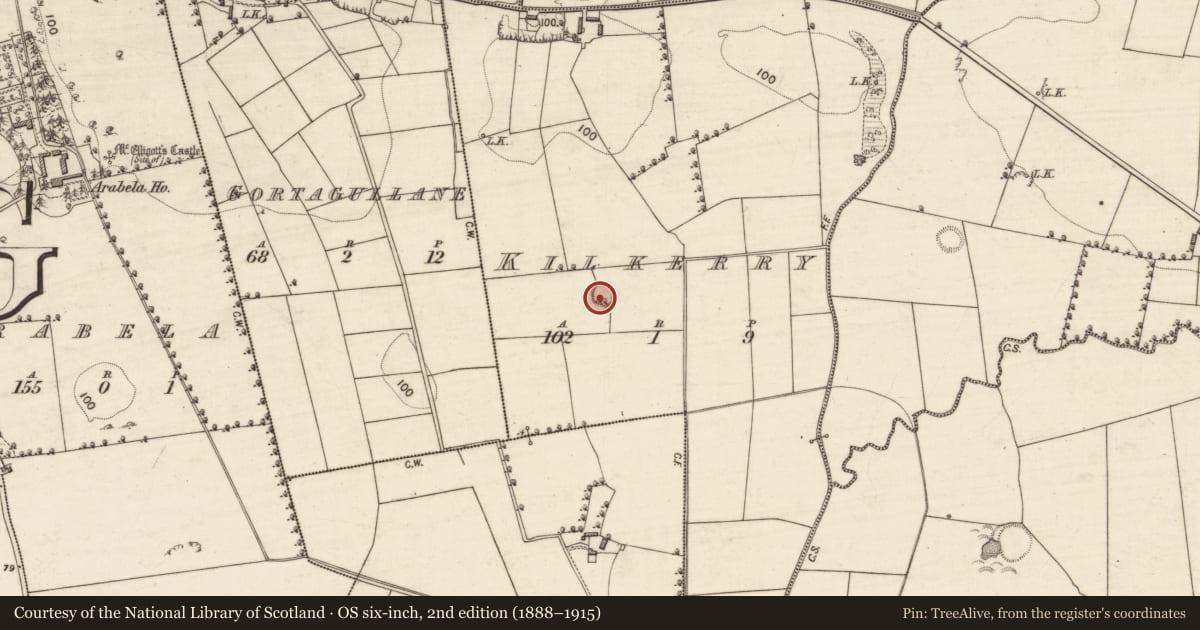 Ordnance Survey six-inch map, 2nd edition (1888–1915) covering the location of Ringfort - rath, Kilkerry, County Kerry, with a pin at the register's coordinates
