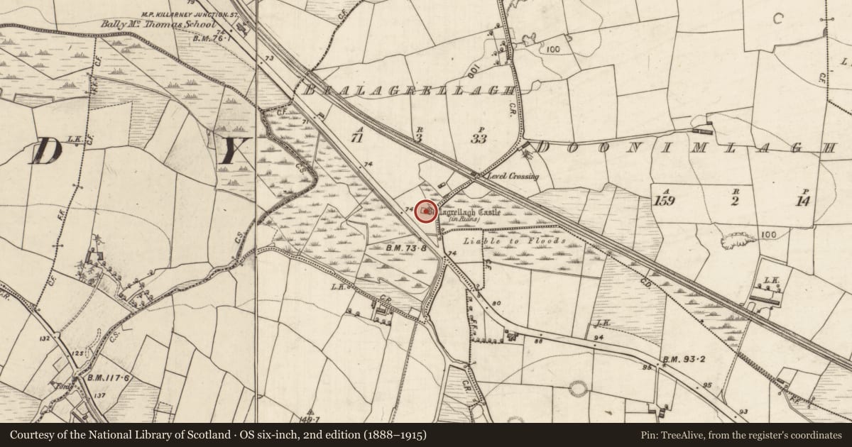 Ordnance Survey six-inch map, 2nd edition (1888–1915) covering the location of Castle - tower house, Bealagrellagh, County Kerry, with a pin at the register's coordinates