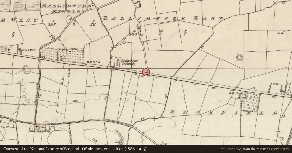 Ordnance Survey six-inch map, 2nd edition (1888–1915) covering the location of Fulacht fia, Ballydwyer East, County Kerry, with a pin at the register's coordinates