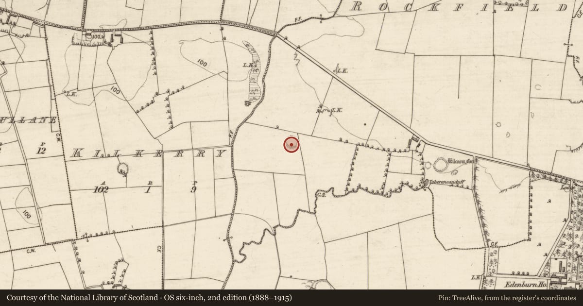 Ordnance Survey six-inch map, 2nd edition (1888–1915) covering the location of Ringfort - rath, Rockfield, County Kerry, with a pin at the register's coordinates