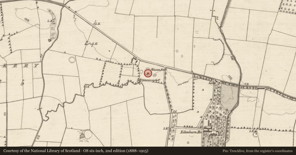 Ordnance Survey six-inch map, 2nd edition (1888–1915) covering the location of Ringfort - rath, Rockfield, County Kerry, with a pin at the register's coordinates