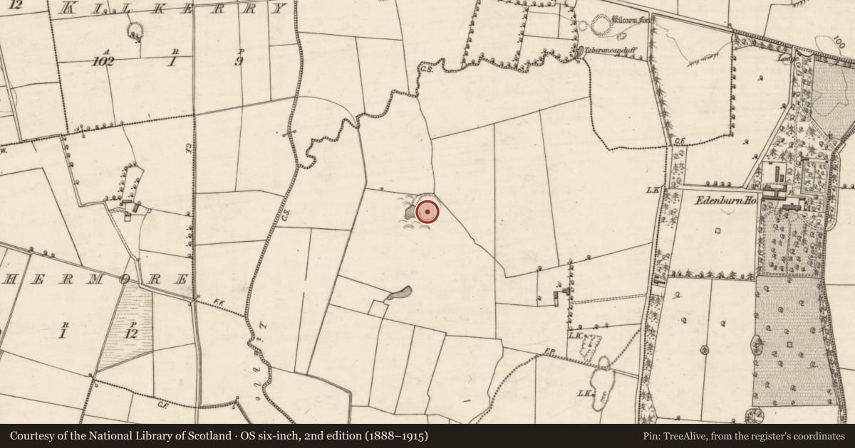 Ordnance Survey six-inch map, 2nd edition (1888–1915) covering the location of Ringfort - rath, Shanavally, County Kerry, with a pin at the register's coordinates