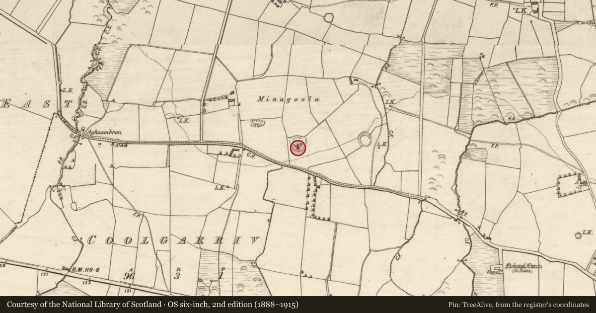 Ordnance Survey six-inch map, 2nd edition (1888–1915) covering the location of Ringfort - rath, Mweennalaa, County Kerry, with a pin at the register's coordinates