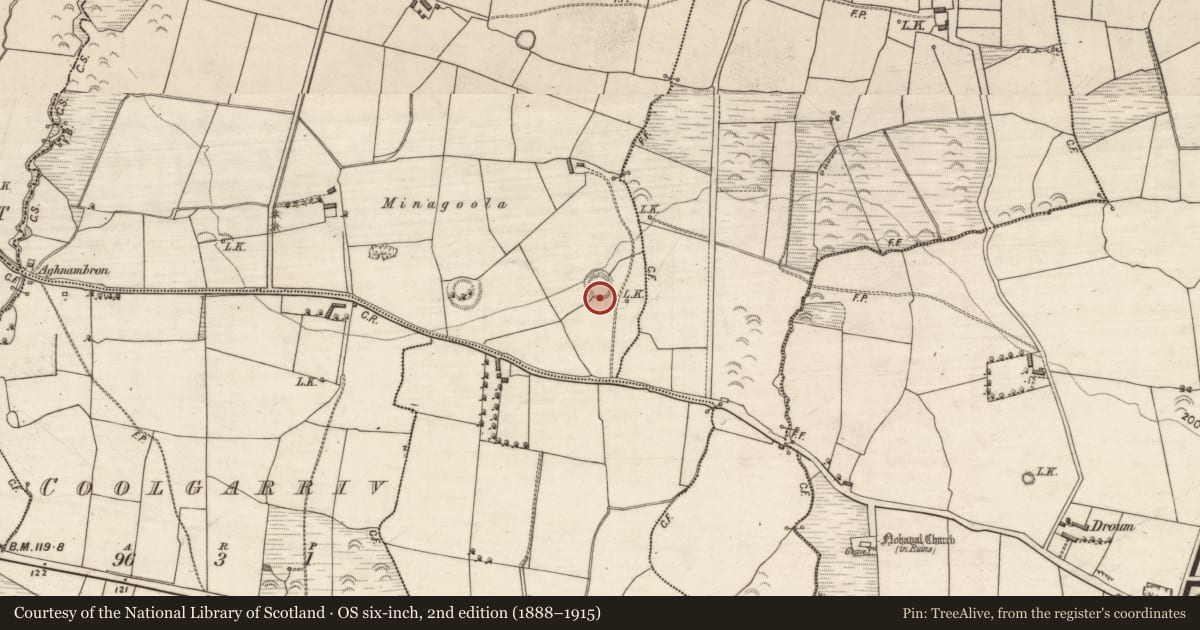 Ordnance Survey six-inch map, 2nd edition (1888–1915) covering the location of Ringfort - rath, Mweennalaa, County Kerry, with a pin at the register's coordinates