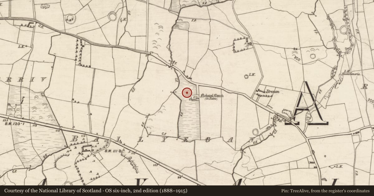 Ordnance Survey six-inch map, 2nd edition (1888–1915) covering the location of Ecclesiastical enclosure, Ballyegan, County Kerry, with a pin at the register's coordinates