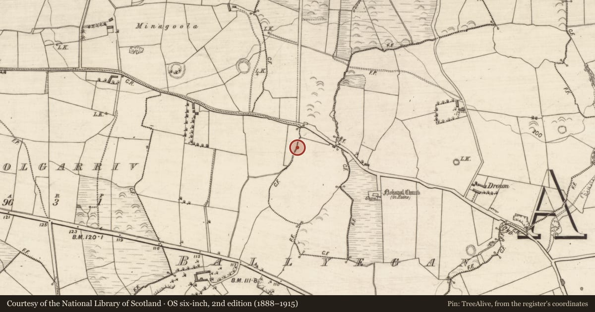 Ordnance Survey six-inch map, 2nd edition (1888–1915) covering the location of Fulacht fia, Nohaval South, County Kerry, with a pin at the register's coordinates