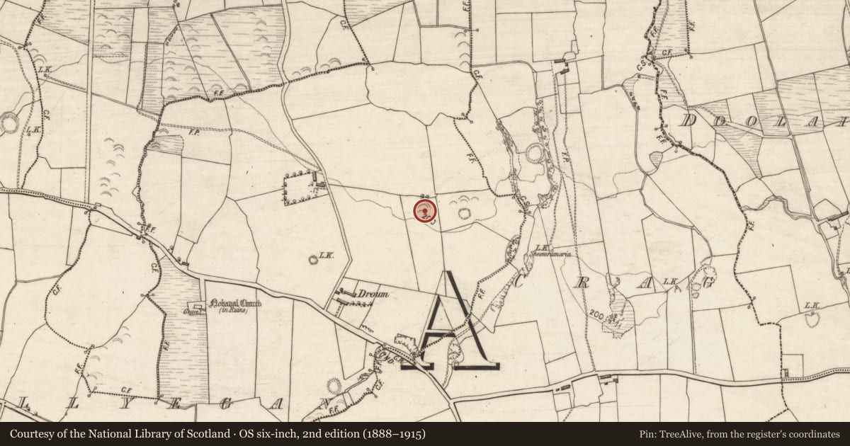 Ordnance Survey six-inch map, 2nd edition (1888–1915) covering the location of Ringfort - rath, Ballyegan, County Kerry, with a pin at the register's coordinates