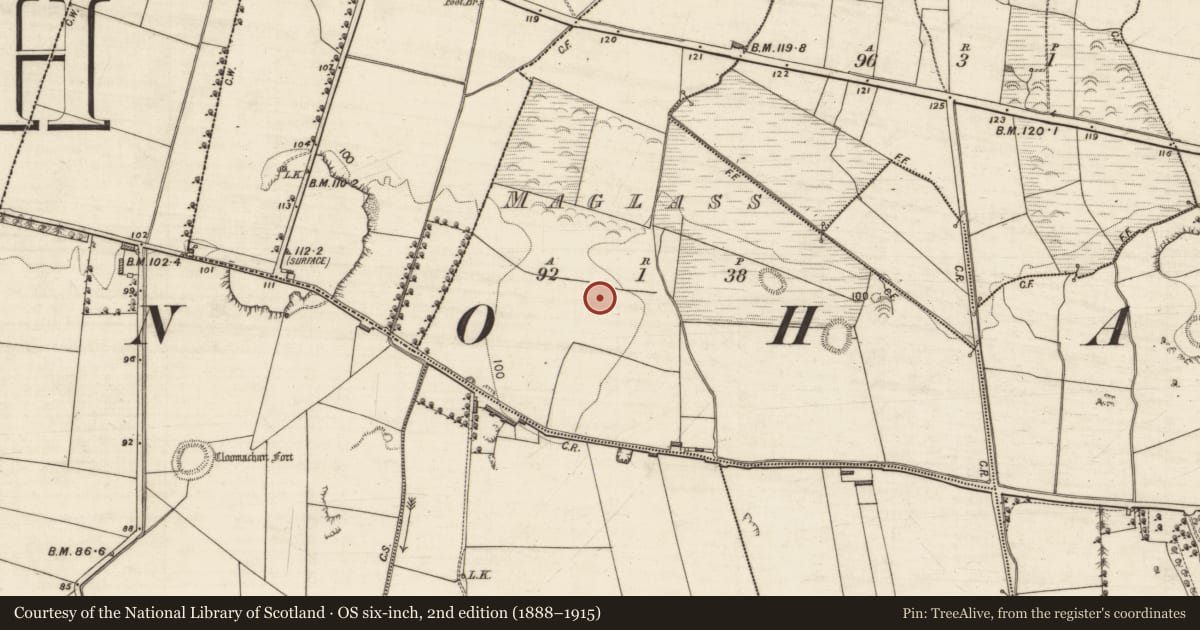 Ordnance Survey six-inch map, 2nd edition (1888–1915) covering the location of Earthwork, Maglass, County Kerry, with a pin at the register's coordinates