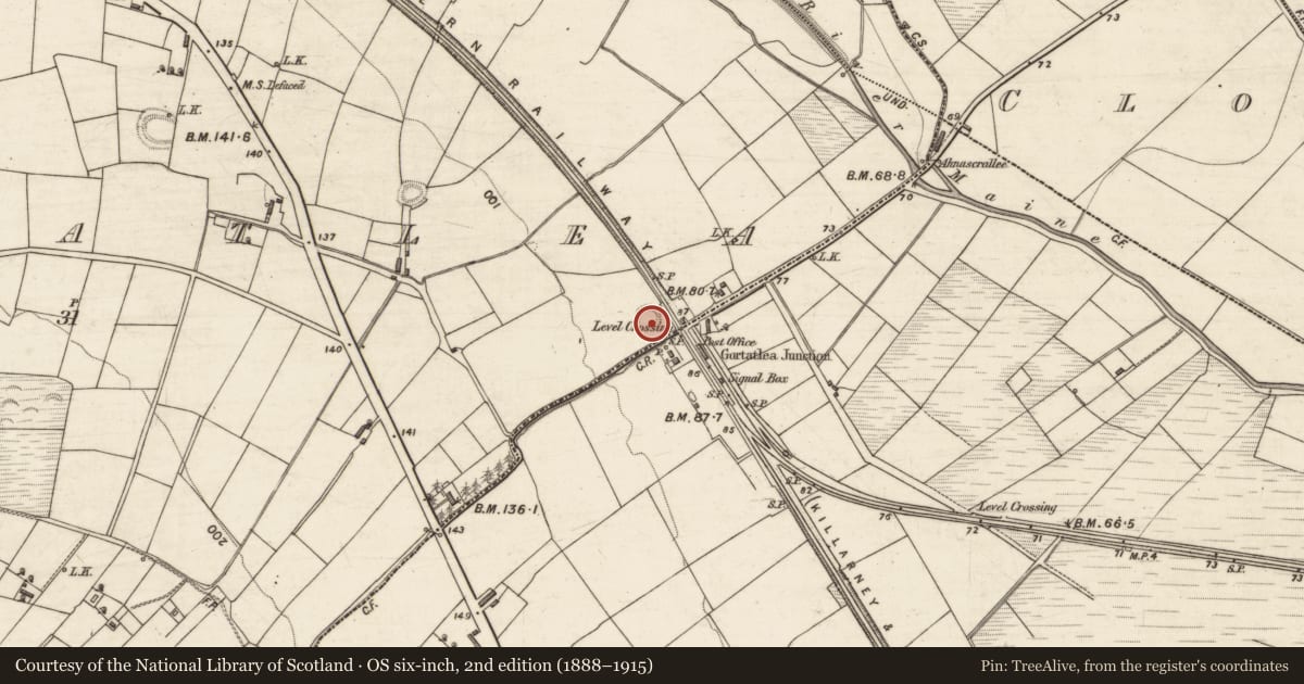 Ordnance Survey six-inch map, 2nd edition (1888–1915) covering the location of Ringfort - rath, Gortatlea, County Kerry, with a pin at the register's coordinates
