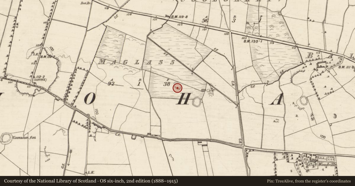 Ordnance Survey six-inch map, 2nd edition (1888–1915) covering the location of Ringfort - rath, Maglass, County Kerry, with a pin at the register's coordinates