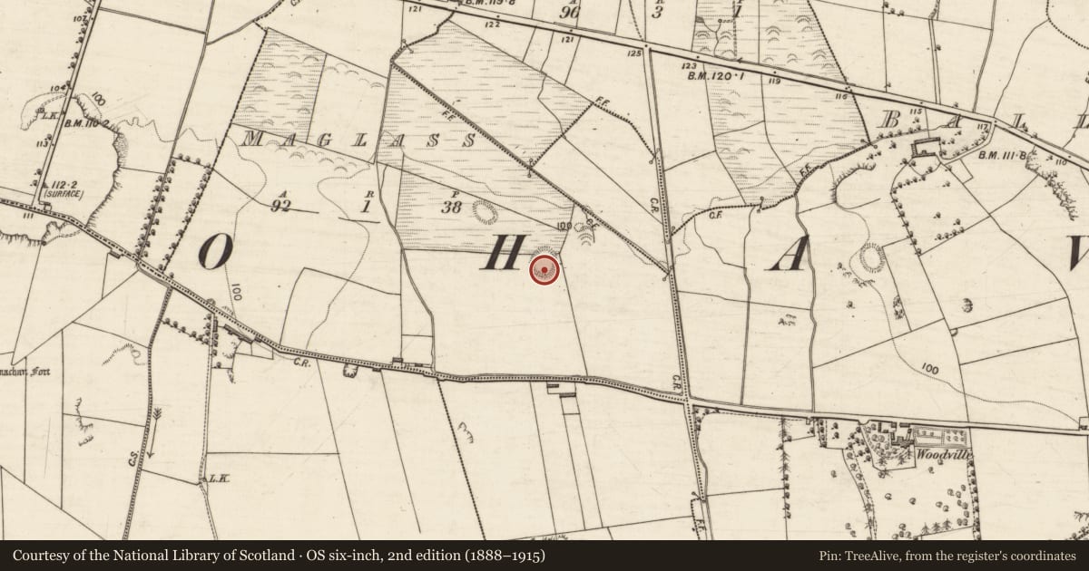 Ordnance Survey six-inch map, 2nd edition (1888–1915) covering the location of Ringfort - rath, Maglass, County Kerry, with a pin at the register's coordinates