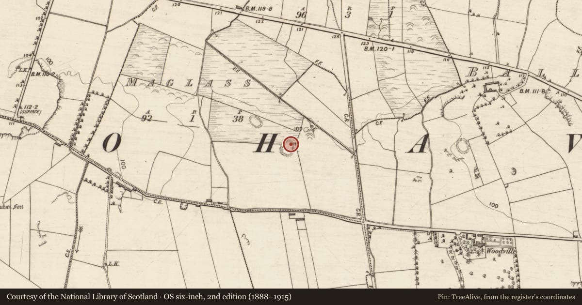 Ordnance Survey six-inch map, 2nd edition (1888–1915) covering the location of Fulacht fia, Maglass, County Kerry, with a pin at the register's coordinates