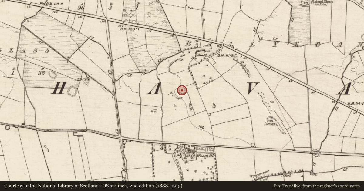 Ordnance Survey six-inch map, 2nd edition (1888–1915) covering the location of Enclosure, Ballyegan, County Kerry, with a pin at the register's coordinates