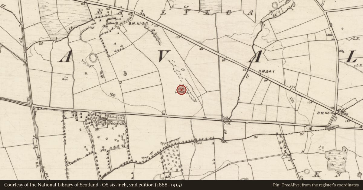 Ordnance Survey six-inch map, 2nd edition (1888–1915) covering the location of Enclosure, Ballyegan, County Kerry, with a pin at the register's coordinates