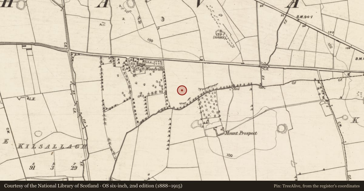 Ordnance Survey six-inch map, 2nd edition (1888–1915) covering the location of Souterrain, Ballyegan, County Kerry, with a pin at the register's coordinates