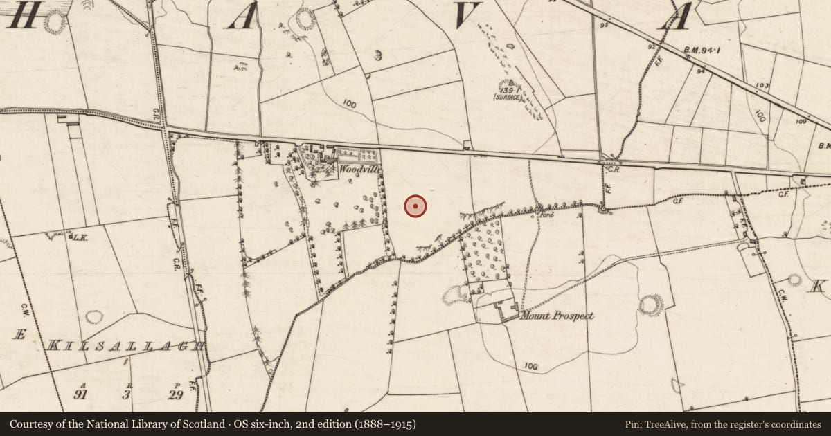 Ordnance Survey six-inch map, 2nd edition (1888–1915) covering the location of Kiln - corn-drying, Ballyegan, County Kerry, with a pin at the register's coordinates