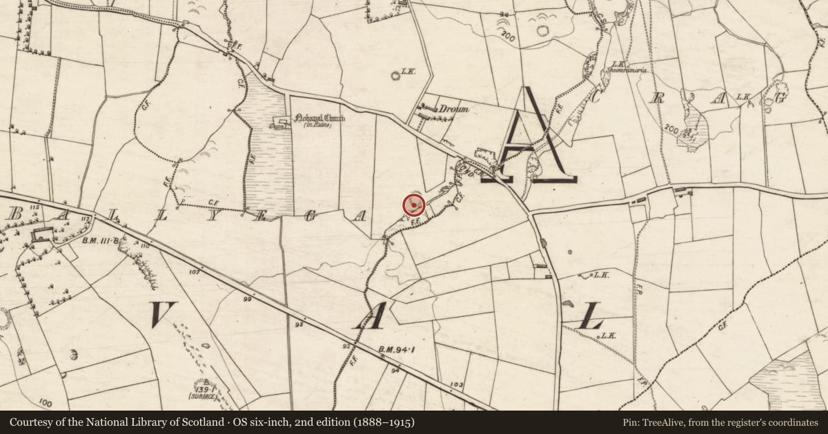 Ordnance Survey six-inch map, 2nd edition (1888–1915) covering the location of Ringfort - rath, Ballyegan, County Kerry, with a pin at the register's coordinates