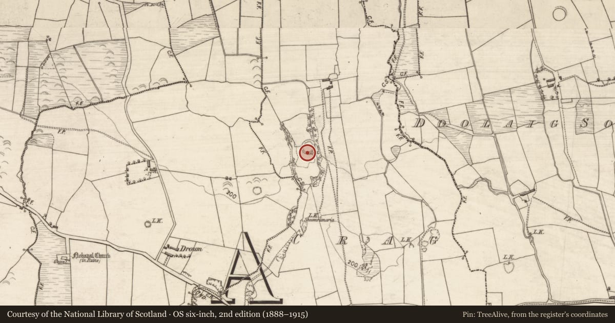 Ordnance Survey six-inch map, 2nd edition (1888–1915) covering the location of Ringfort - rath, Crag, County Kerry, with a pin at the register's coordinates