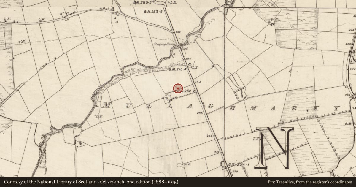 Ordnance Survey six-inch map, 2nd edition (1888–1915) covering the location of Souterrain, Mullaghmarky, County Kerry, with a pin at the register's coordinates