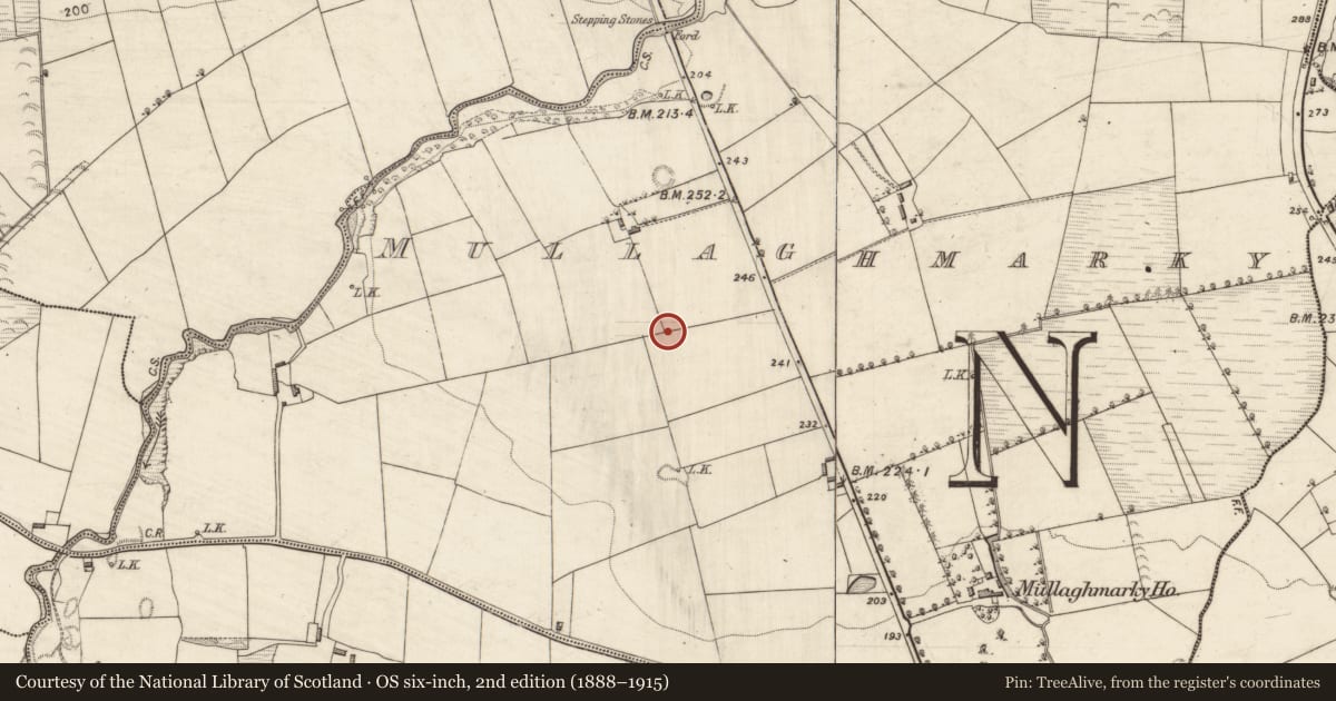 Ordnance Survey six-inch map, 2nd edition (1888–1915) covering the location of Ringfort - rath, Mullaghmarky, County Kerry, with a pin at the register's coordinates
