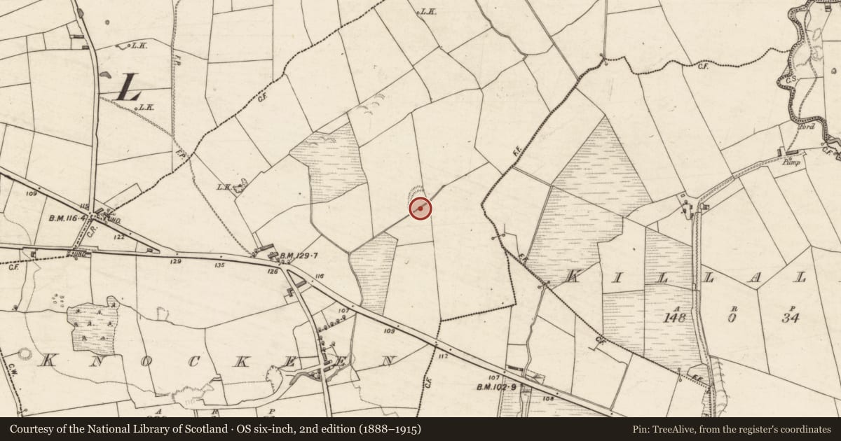 Ordnance Survey six-inch map, 2nd edition (1888–1915) covering the location of Ringfort - rath, Knockeen, County Kerry, with a pin at the register's coordinates