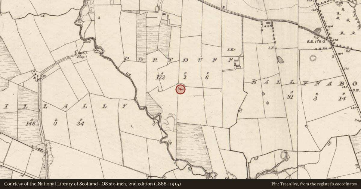 Ordnance Survey six-inch map, 2nd edition (1888–1915) covering the location of Ringfort - rath, Portduff, County Kerry, with a pin at the register's coordinates