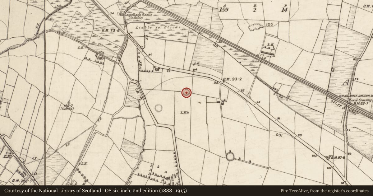Ordnance Survey six-inch map, 2nd edition (1888–1915) covering the location of Ringfort - rath, Flemby, County Kerry, with a pin at the register's coordinates