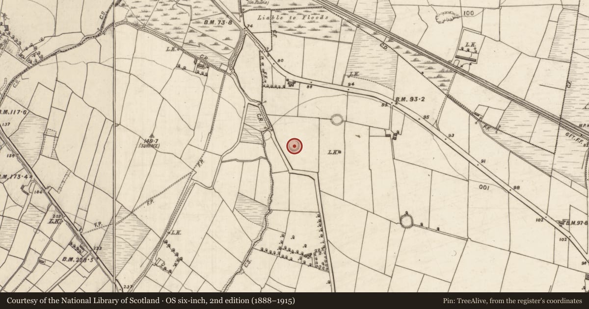 Ordnance Survey six-inch map, 2nd edition (1888–1915) covering the location of Ringfort - rath, Flemby, County Kerry, with a pin at the register's coordinates